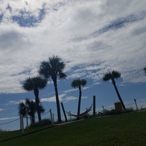 Meet your Posher, Leonel